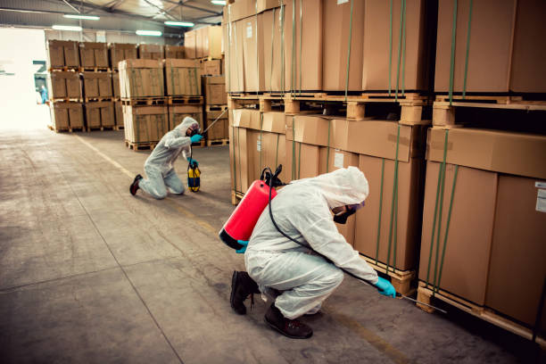 Best Exterminator Services  in Lukachukai, AZ