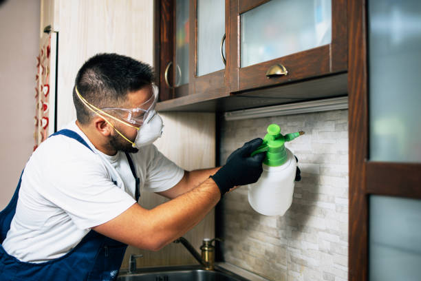 Best Bed Bug Extermination  in Lukachukai, AZ