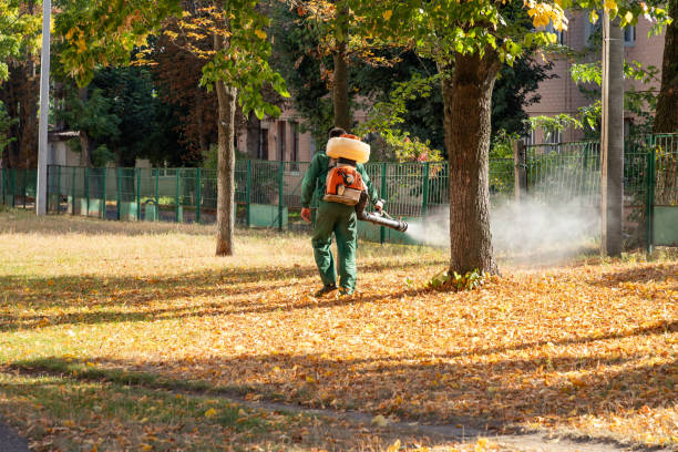 Professional Pest Control in Lukachukai, AZ